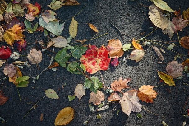 Народні прикмети 29 жовтня / © pexels.com