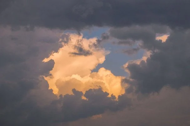 3 листопада Міжнародний день біосферних заповідників / © pexels.com