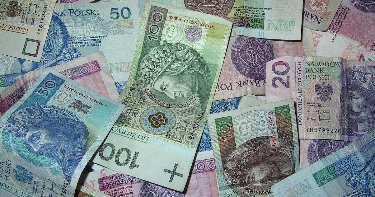Польські злоті