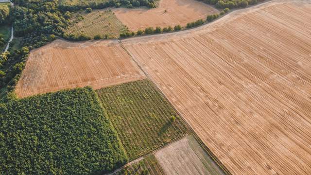 Оренда земельних паїв: що прописати в договорі, щоб інфляція не з'їла виплати