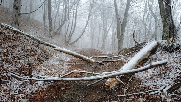 Коли чекати перший сніг в Україні: прогноз синоптиків