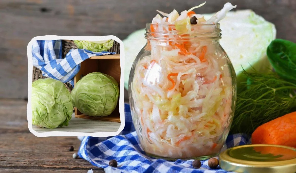 як вибрати капусту для квашення